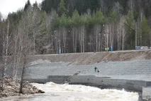 айгір