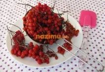 Варення з калини - простий покроковий рецепт із фото-картинками на зиму варення