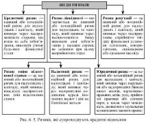 У чому полягає сутність скорингу, Що таке ризик та ризики супроводжують кредитні відносини, Види ризик
