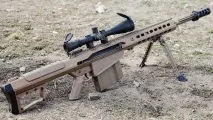 firearms
