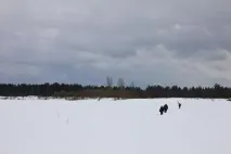 Вичегда - річка в Республіці Комі річки