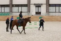 У Maxima Stables стартувала програма «Знання – у регіони» програма
