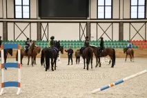 У Maxima Stables стартувала програма «Знання – у регіони» maxima