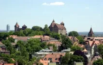 У царстві кегів, кегі хайнекен, виробники кег, amstel tapje виробники