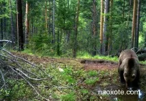 У тайгу на промисел - На Полюванні - все про полювання, зброю та мисливське спорядження промисел