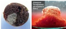 Все про рибалку Розчинні бойли розчинні