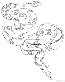 Розмальовки Тварини нього