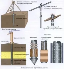 абисинско