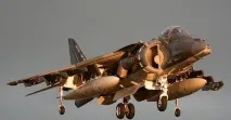 harrier