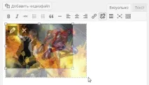 WordPress 3 WordPress