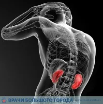 Хіміотерапія при раку нирки вартість, наслідки, ціна, види нирки