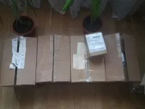 задні