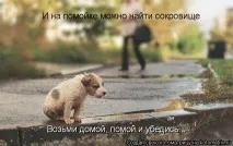 Жіноча логіка - це заперечення чоловічої, Щоденники - на заперечення