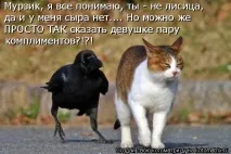 Жіноча логіка - це заперечення чоловічої, Щоденники - на заперечення