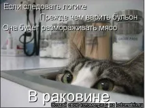 Жіноча логіка - це заперечення чоловічої, Щоденники - на заперечення