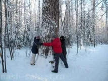 ручаї