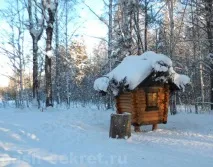 олені