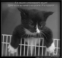 Жіноча логіка - це заперечення чоловічої, Щоденники - на логіка