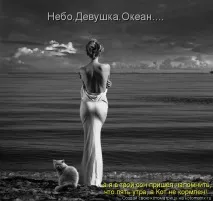 Жіноча логіка - це заперечення чоловічої, Щоденники - на жіноча