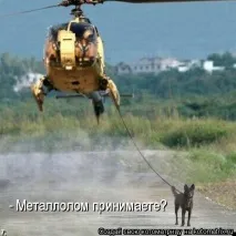 Жіноча логіка - це заперечення чоловічої, Щоденники - на заперечення