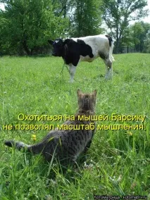 Жіноча логіка - це заперечення чоловічої, Щоденники - на жіноча