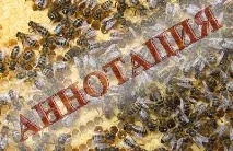 Журнал Бджільництво - Кавказькі пасіки бджільництво