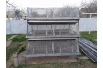 Тварини та зоотовари зоотовари