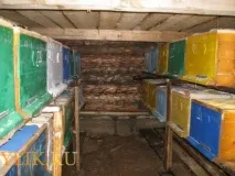 Зимівка в омшанике правильне будівництво та утримання, фото та відео правильне