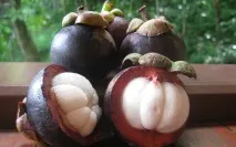 екзотичних