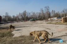 15 маловідомих, але дуже цікавих місць навколо Калуги дуже