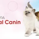 Акції та конкурси «Royal Canin» (Роял Канін) 2019 конкурси