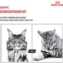 Акції та конкурси «Royal Canin» (Роял Канін) 2019 canin