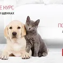 Акції та конкурси «Royal Canin» (Роял Канін) 2019 роял