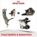Акції та конкурси «Royal Canin» (Роял Канін) 2019 royal