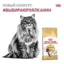 Акції та конкурси «Royal Canin» (Роял Канін) 2019 акції