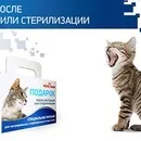 Акції та конкурси «Royal Canin» (Роял Канін) 2019 canin