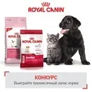 Акції та конкурси «Royal Canin» (Роял Канін) 2019 акції