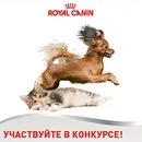 Акції та конкурси «Royal Canin» (Роял Канін) 2019 роял