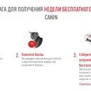 Акції та конкурси «Royal Canin» (Роял Канін) 2019 royal