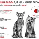 Акції та конкурси «Royal Canin» (Роял Канін) 2019 акції