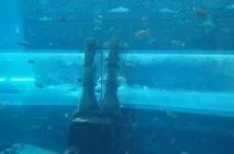 Аквапарк «Aquaventure» в готелі «Atlantis The Palm» Дубая ціни та фото аквапарк