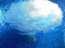 лежанки