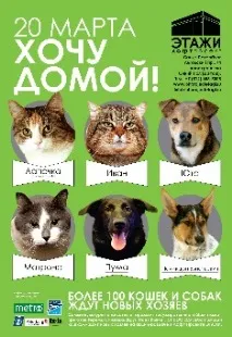 Бездомні тварини чекають на господарів на виставці-роздачі чекають