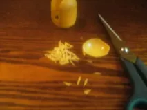 гілочки