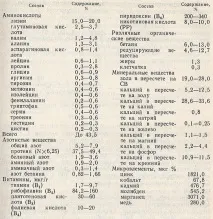 Біосинтез лізину лізину