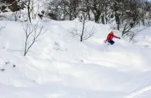 Ціліна. Червона Поляна фото