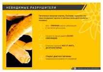 7 thoughts on “ Головна ” мене