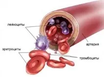 Поліцитемія - симптоми, причини та лікування симптоми