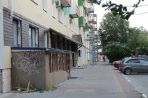 майну