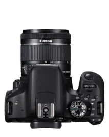 Canon EOS 77D огляд та тест фотоапарата Canon